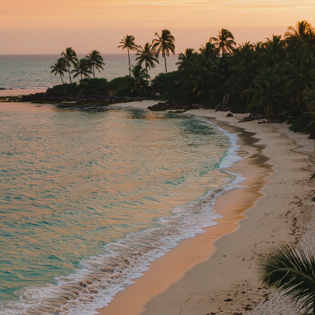 Coastal Drift cover art