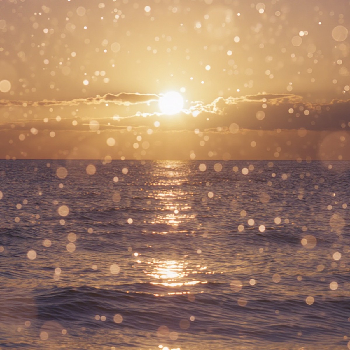 Manfred Mann’s Earth Band - For you (THE CHUCKY REMIX) cover art