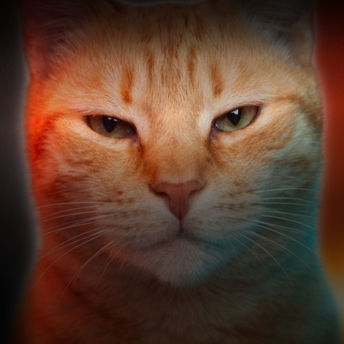 I Will Follow You (Home) cover